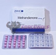 Methandienone 20mg (Метандиенон), ZPHC