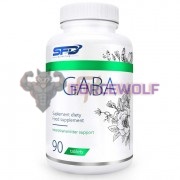 GABA [ГАБА] (90 табл), SFD Nutrition