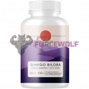 Ginkgo [Гинкго Билоба] (60 капс), Elementica I organic