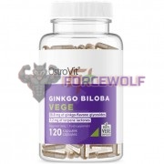 Ginkgo [Гинкго Билоба] (120 мг x 120 капс), OstroVit