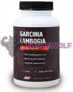 Garcinia Cambogia (500 мг x 90 капс), Protein Company