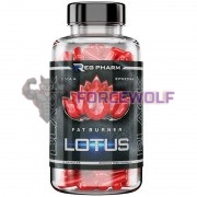 Lotus Black (90 капс), Regeneration Pharm