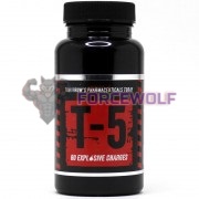 T-5 (60 капс), Zion Labs