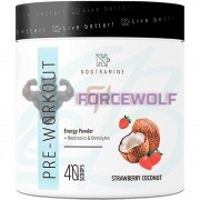 Nootramine Pre-Workout (290, 2 гр x 20 порций), Nootramine