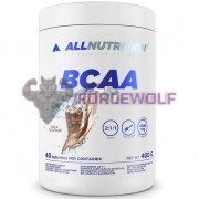 BCAA Instant (400 гр), AllNutrition