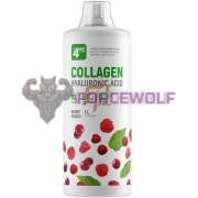 Collagen + Hyaluronic Acid [Liquid] (1000 мл: 40 порций), 4Me Nutrition