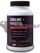 Choline + Inositol (120 шт), Protein Company