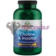 Choline & Inositol (250 шт), Swanson