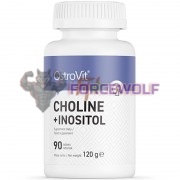 Choline + Inositol (60 шт по 600 мг), OstroVit
